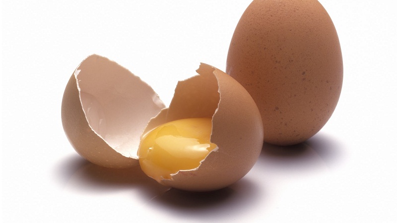 举个栗子：生吃蛋类安全吗？