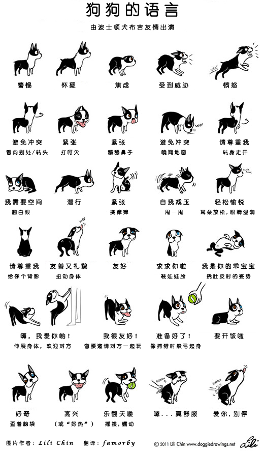 举个栗子：狗狗的语言，你懂吗？