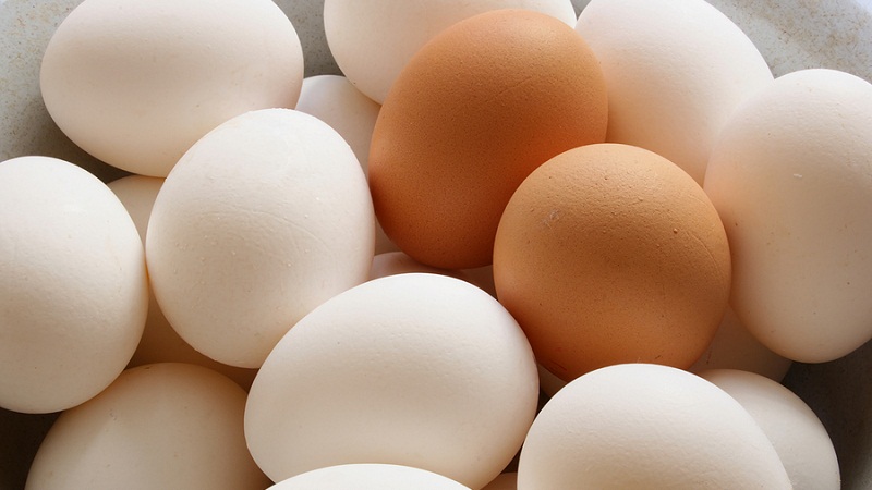 举个栗子：鸡蛋里有什么？