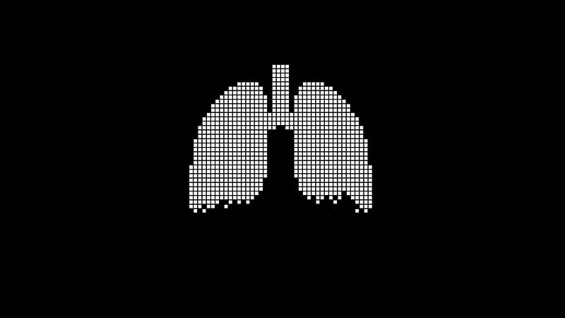 举个栗子：雾霾可使鲜肺6天变黑肺？没那么夸张