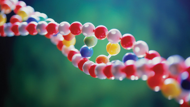 举个栗子：都有哪些“异己基因”进入我们身体？