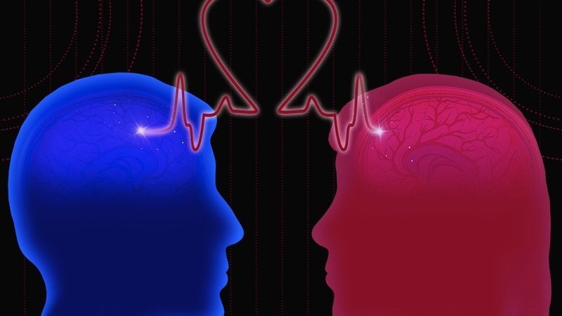 恋爱中的大脑发生了什么？的头图