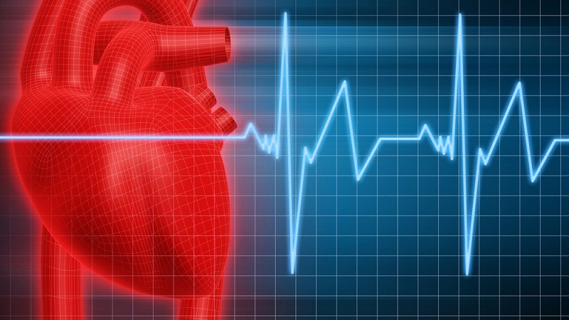 玩的就是心跳：心率快慢和寿命有关吗？的头图