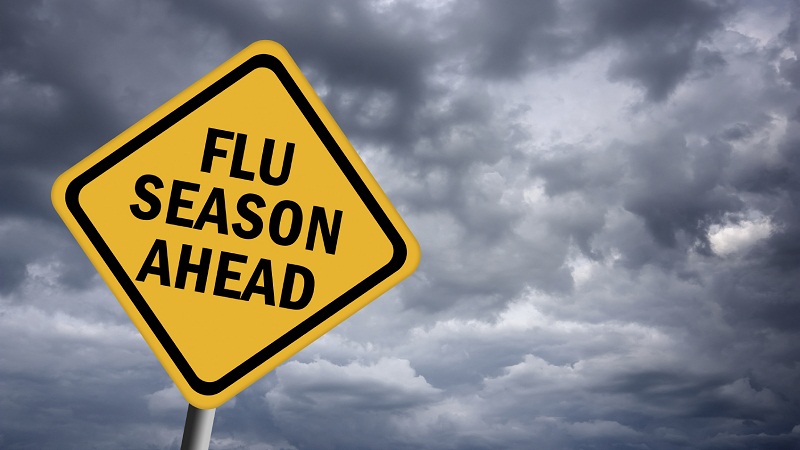 举个栗子：为什么流感多爆发于冬季？-栗子博客