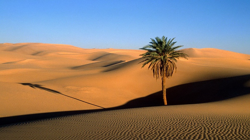 举个栗子：很久之前，撒哈拉沙漠还是片绿洲？