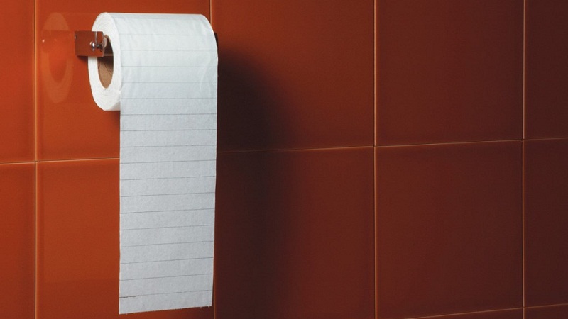 举个栗子：纸发明以前，人们上完厕所怎么办？-栗子博客
