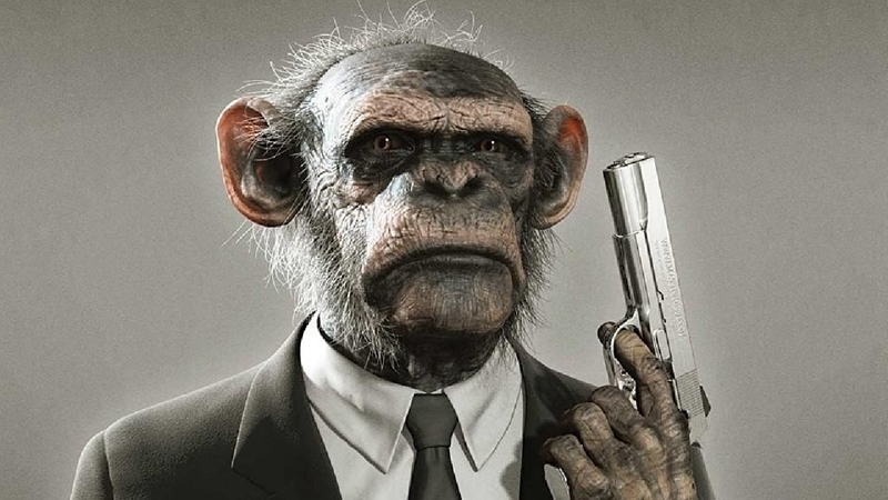 举个栗子：人类是不是从猴子进化而来？