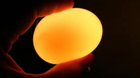 举个栗子：弹性超好的鸡蛋就是人造鸡蛋？