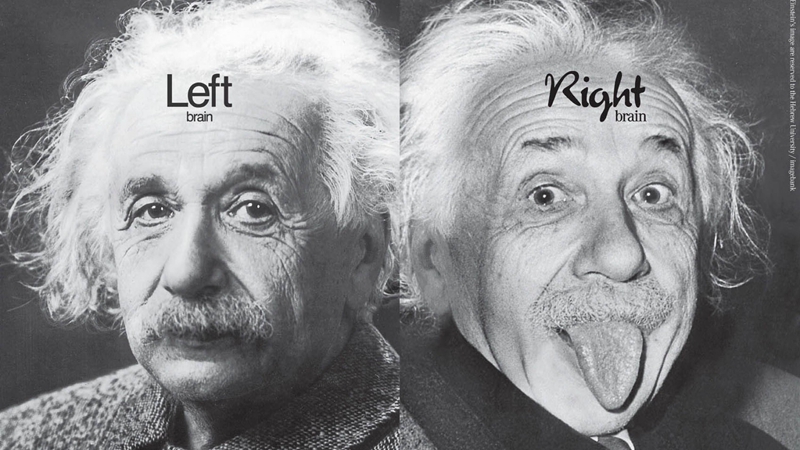 举个栗子：爱因斯坦的大脑有何不同？-栗子博客