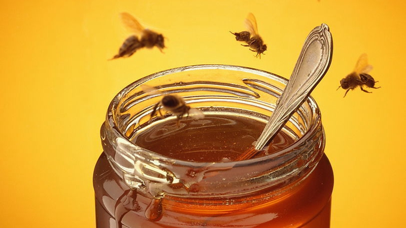 举个栗子：如何鉴别真假蜂蜜？