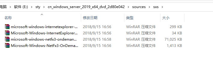 windows server 2019 简体中文版安装.NET Framework 3.5功能