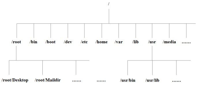 Linux目录结构及vi和vim的使用等基础知识