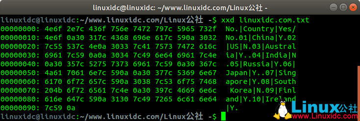Linux xxd命令入门示例教程