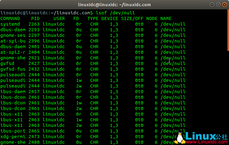 lsof命令 – 找出谁在Linux中使用文件-栗子博客