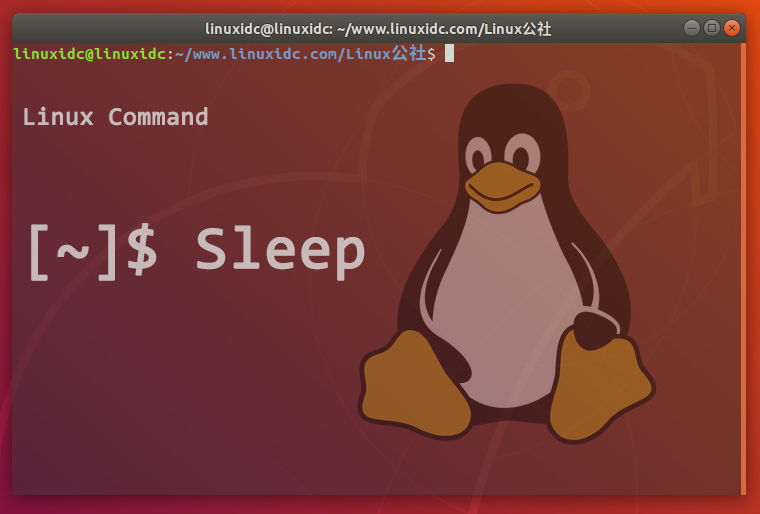 如何使用Linux Sleep命令暂停Bash脚本