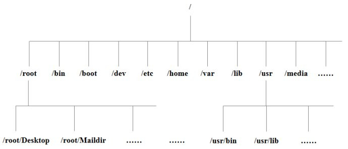 Linux目录结构与more、less命令基础命令