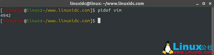Linux常用命令 pidof 使用简述