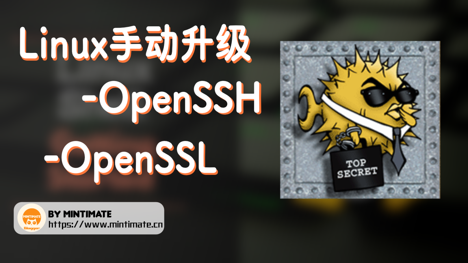Linux升级OpenSSH和OpenSSL，解决XMSS Key 解析整数溢出漏洞、OpenSSL 拒绝服务漏洞-栗子博客